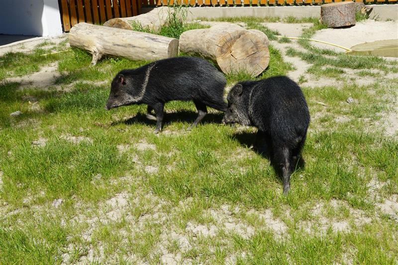 Medijski sadržaj (47).jfif